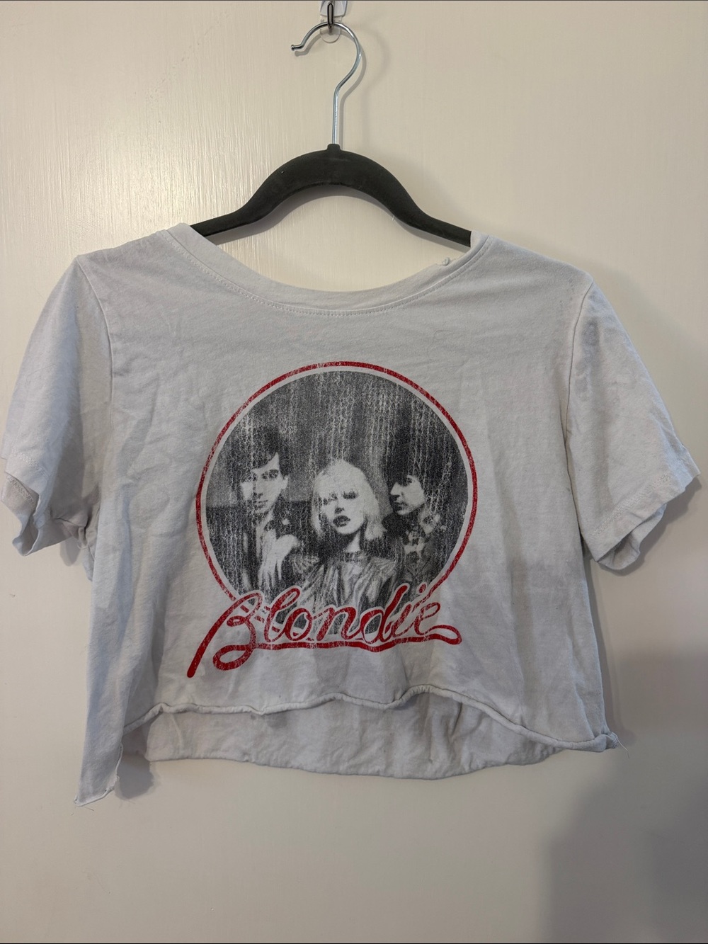 Prince Peter x Blondie Graphic Cropped Tee